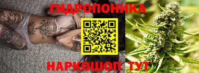 индика Комсомольск-на-Амуре