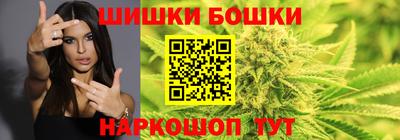 индика Комсомольск-на-Амуре